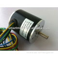 36BL01-1 12 volt brushless dc motor, rated 4000rpm, 12mNm 5w